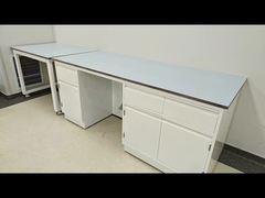 Εξατομικευμένα Χημικά Έπιπλα Εργαστηρίου Προσαρμοσμένα για την Απόδοση του Εργαστηρίου σας