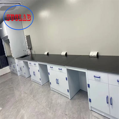 Καλή τιμή Σύγχρονη προσαρμόσιμη χημική εργαστηριακό έπιπλο τιμή Χονγκ Κονγκ με ολοκληρωμένη δομή και επεξεργασία επιφάνειας σε απευθείας σύνδεση