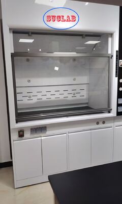 Καλή τιμή Custom Laboratory Fume Hood Manufacturers With Strong Powerful Ventilation System Ideal for Laboratory Chemical Fume Extraction σε απευθείας σύνδεση
